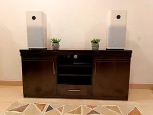 Premium TV Stand & Media Console