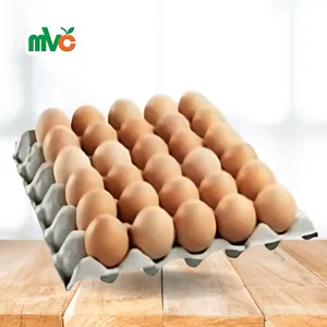 Others - Food - Supplements0