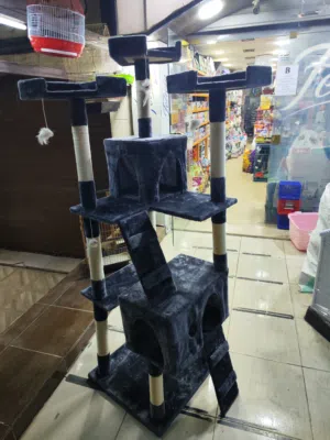 خداشة قطط اكبر حجم ع مستوى العالم بسعر مرتب شوف الريلز ، و احممي اثاثك من التخديش تكفي 10 قطط