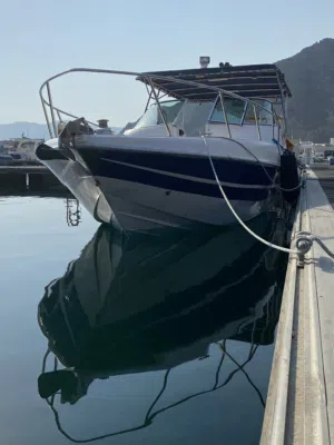 Yacht for sale Silver Craft 31