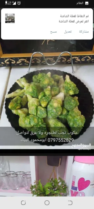 يوجد لدينا عكوب نخب اول مفرز جاهز للطبيخ مجهز بامهر البنات منظف عاللاخر