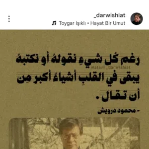 ام حيدر 