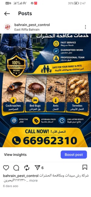 مكافحة الحشرات البحرين