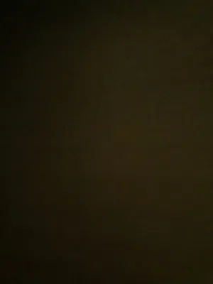 منزل تجاري للبيع