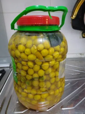 زيتون سوري