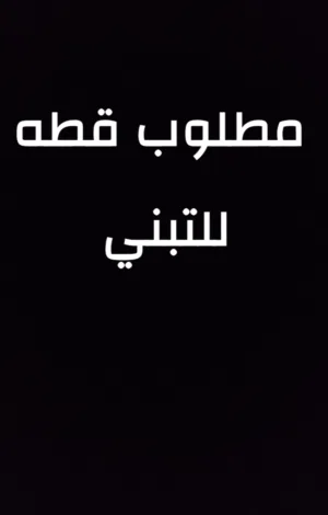 مطلوب قطه للتبني