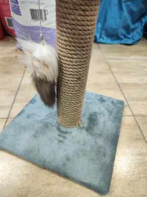 خضار خداش القطط عموديه مع ماوس بجنن بالاضافه الى السلك عليها عرض