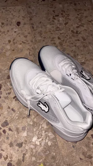 ابعث واتس في فيديوهات كمان كله ماركات ستوكات