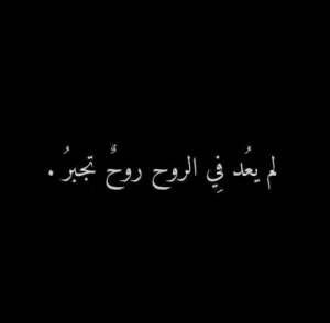 ليث 
