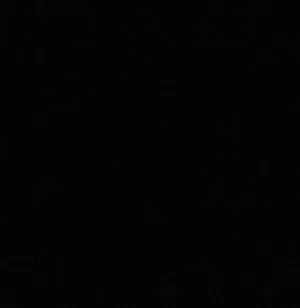 مختار 
