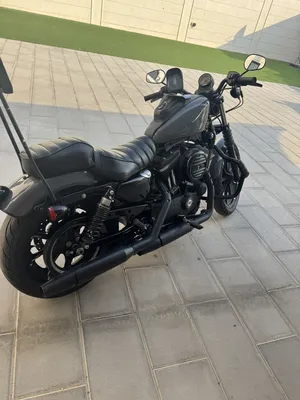 Harley Davidson ‏Iron 883 ‏2022 ‏750 - 999 cc