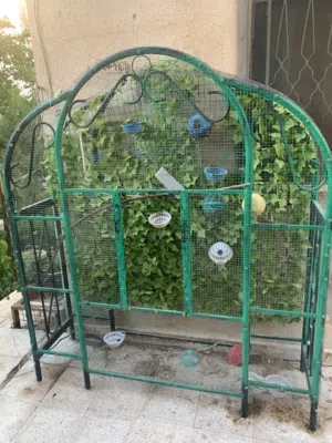 قفص ومطير عصافير بحاله جيده
