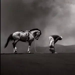 shahen bn amar 