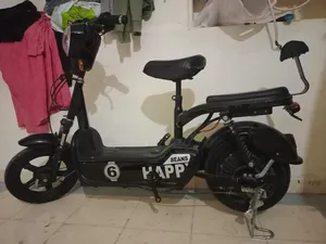 Electric bike