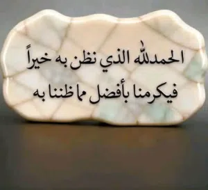 AboAfifi 