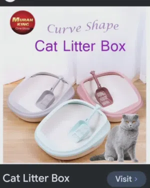 cat letter box