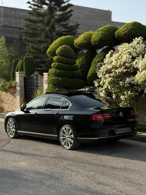 باسات-فل-الفل