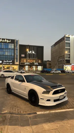 موستنك مديل 13
