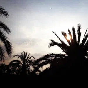 صدام العبدلي Ad