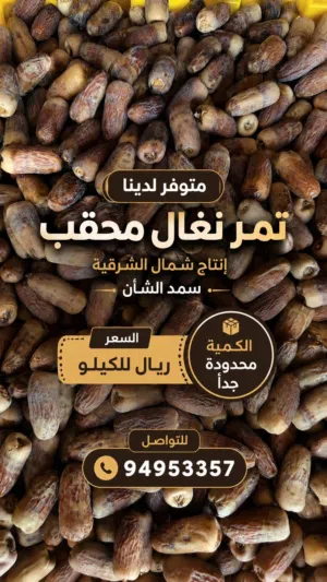 تمر نغال (محقب) جريجرو