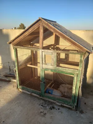 قفص طيور تفصيل مستعمل
