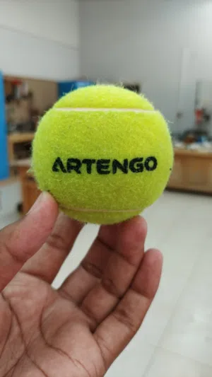 Premium Brand Tennis Balls for Sale (Artengo, Wilson & Joerex) – Perfect for Cricket/Tennis,