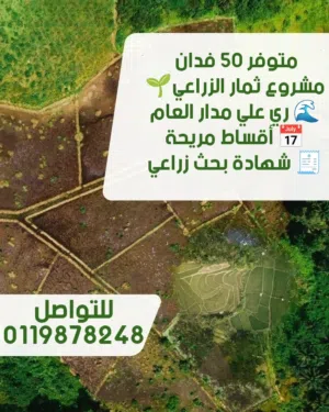 50 فدان في مشروع ثمار الزراعي