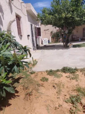 سلام عليكم ورحمة الله وبركاته عندي اتنين استراحه عين زاره متلث كهرباء منطقة القيادي معابضهم