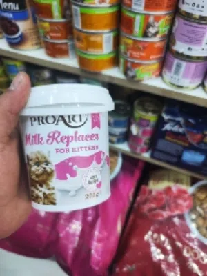 حليب قطط مرتب