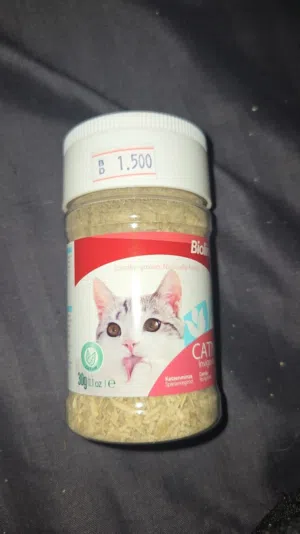 Catnip for cats