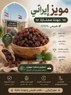 مویز إيراني درجة أولى بيع بالجملة جاهز للتصدير إلى العراق تسليم مهران