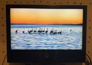 شاشة للبيع LG