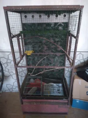 للبيع مطير مناسب لجميع انواع الطيور زائد قفص ثلاث معالف وقفص معلفين مع كامل اغراض