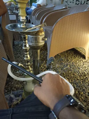 محمود الزواوي 