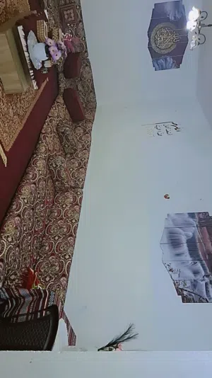 طقم فراش للبيع مع بردايه خمريه وبردايه رصاصي بدون الطاوله والسجاده والموكيته