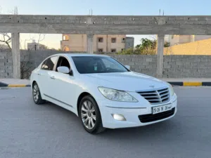 جنيسس 2010