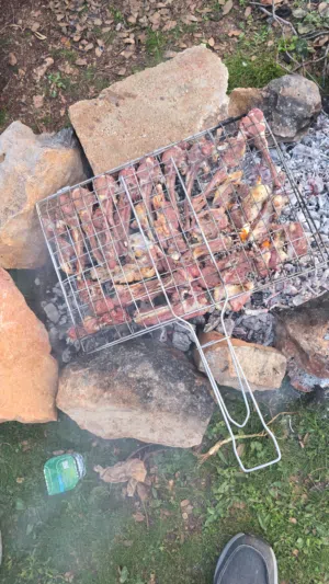 فحم بلوط للبيع