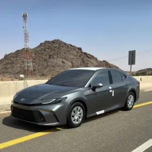 الشامسي 