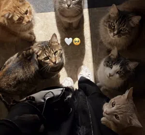 جنون العمر 