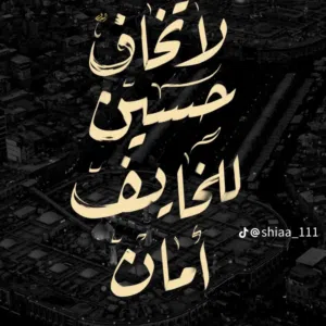 ahmed ali 