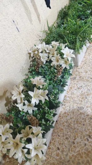 زهره اصطناعيه كلش قوه ونضيف