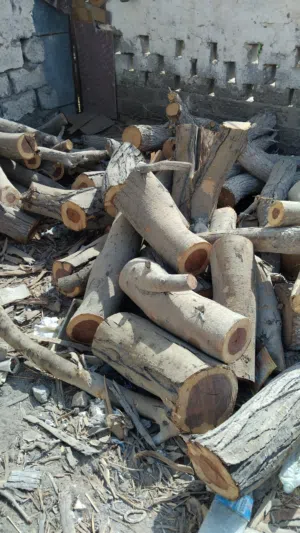 يتوفر حطب سمر الحجم الكبير