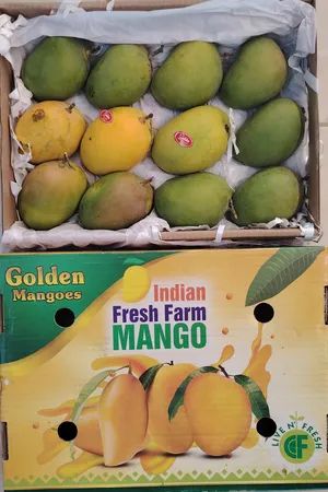 Indian Alphonso Mango