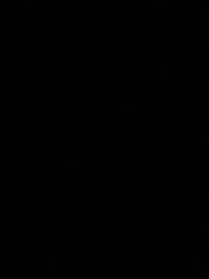 ‏بيتبول‏2