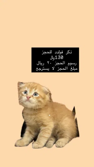 ذكر فولد للحجز