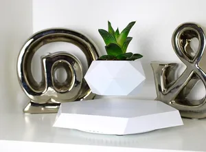 Artificial Plants . Used3