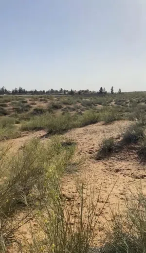ارض للبيع في السايح