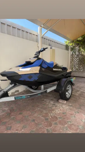 Seadoo spark trixx
