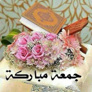 مطلوب شخص لمشاركة سكن