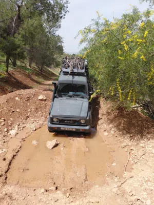 Used Suzuki Samurai in Amman